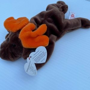 TY Beanie Baby Chocolate the Moose
